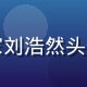 芭乐视频安全专家刘浩然头像，严肃专业形象