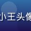 芭乐视频技术控小王头像，理性评测风格